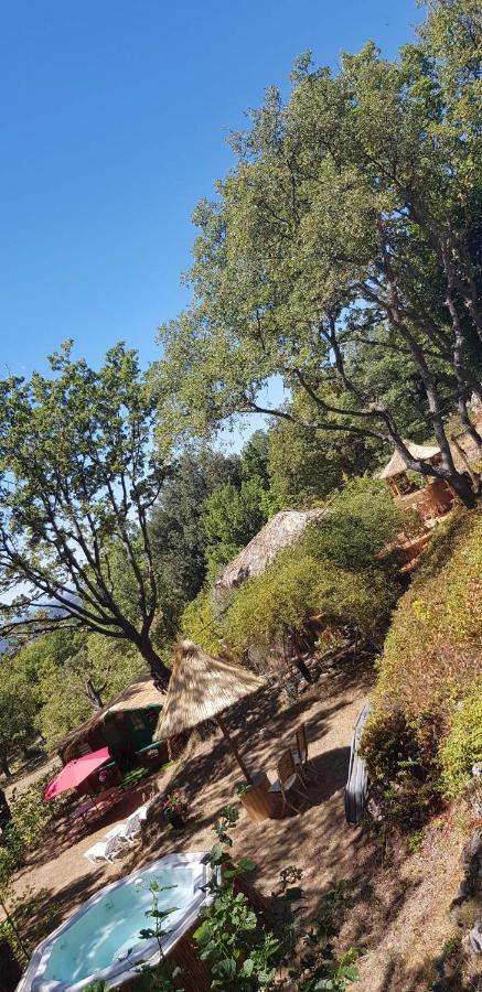 La Lyalis Bed & Breakfast Aiguines Bagian luar foto