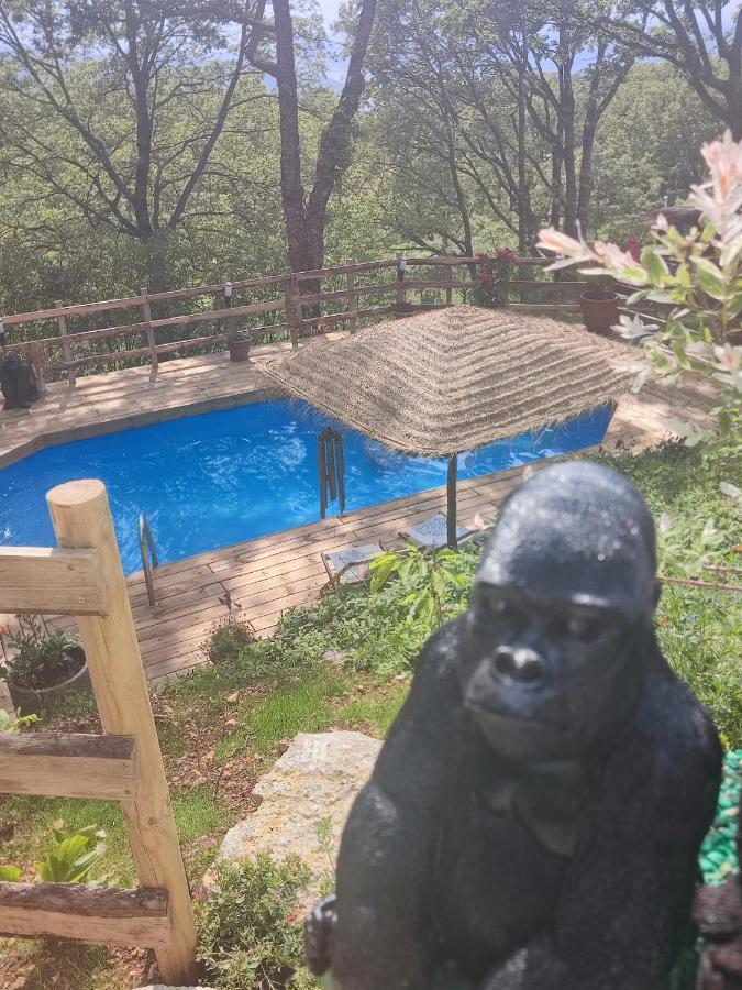La Lyalis Bed & Breakfast Aiguines Bagian luar foto